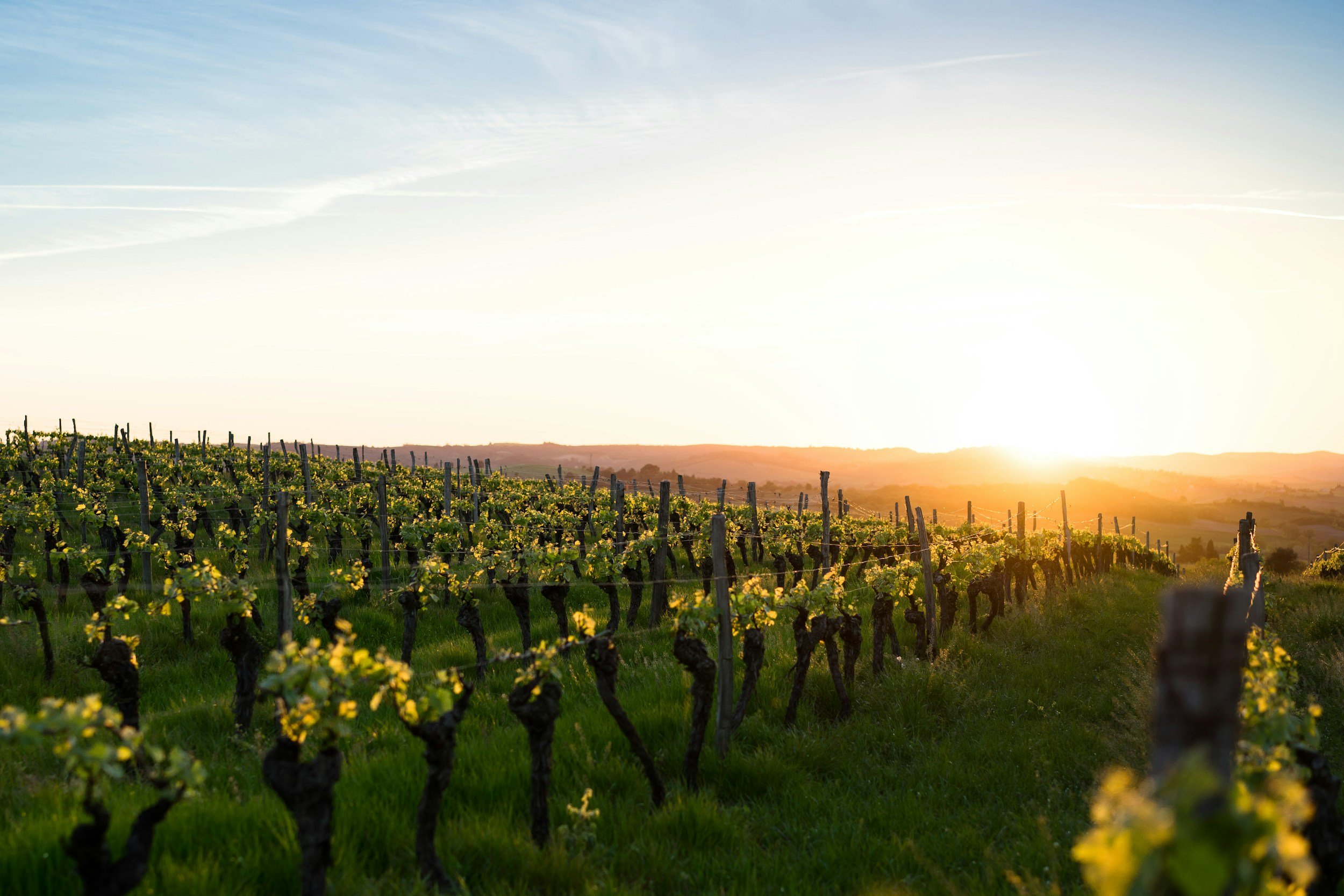 A quiet moment at Clarity Uncorked in Southwest France